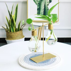 Flower Vase Bulb Shape Nordic Style Glass Iron Art Hydroponics 1
