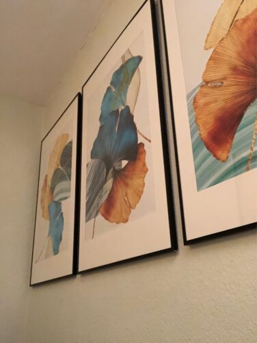 U0c265acac488475e8fa771236b6733efl - 