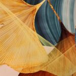 U3e75e670f9074b3cb0627f3ad4cb6a6df - 