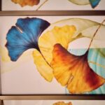 U47fed8c46b9348958015071f69932ebcx - 