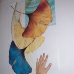 Ua2c3b3c95a6b4b0486decac0d82c3049c - 