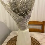 7255u894764c0389a493bbaf343fa160cc4efx - 